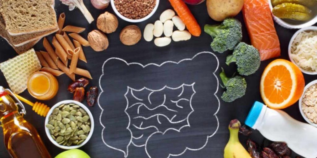 Probiotique vidal votre guide pour une santé intestinale optimale
