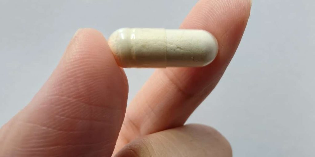 Trouver le probiotique vidal pour un équilibre intestinal durable